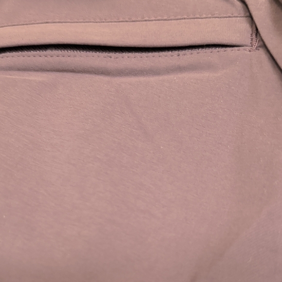 ZeroXposur Plum Stretch Lined Pull-On Pants - Picture 4 of 4